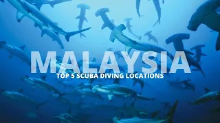 SCUBA Diving Malaysia (Top 5 Dive Sites in Malaysia)