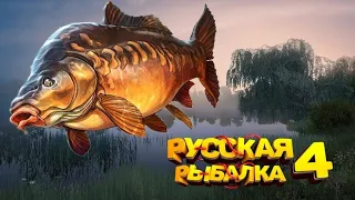 Душевный Стрим! В Поисках Трофея🔥Рулетка🔥Розыгрыши🔥Русская рыбалка 4