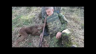 Dieser junge Hirsch kam zu einem Soldaten, was dann passierte ist unglaublich