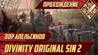 Вор апельсинов - Divinity Original Sin II #4