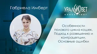 Особенности полового цикла кошек. Подход к разведению и контрацепции. Габриела Имберт