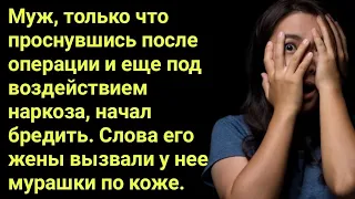 Муж, только что проснувшись после операции и еще под воздействием наркоза, начал бредить.