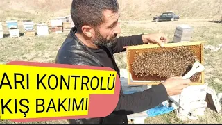 ekim ayı arı kontrolu ve 3 konu detaylı anlatım ve kışa hazırlık ne Fayda