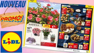 catalogue LIDL ALIMENTAIRE  du 12 au 18 juin 2024 ⛔ PROMO - FRANCE - partie 2