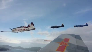 Remembrance Day Flypasts with Five Nanchang CJ-6s Over Victoria BC