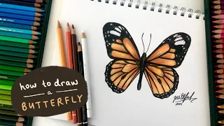 HOW TO DRAW A MONARCH BUTTERFLY (EASY) | drawing insects with coloured pencils