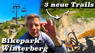 3 NEUE ENDURO TRAILS im Bikepark Winterberg🥳 VLOG | 4K | Julian Schneider