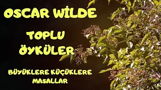 MÜRVER AĞACI - TOPLU ÖYKÜLER 🌟 (Sesli Kitap - Büyüklere Masallar) Pandora Medya naringl