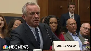 RFK Jr. is a 'living, breathing false flag operation,' Dems say after Congressional hearing