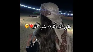 آهنگ جدید های جنگه جنگه دست به تفنگه❤🫠