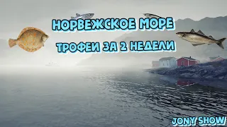 РР4 • Норвежское море • Трофеи за 2 недели.