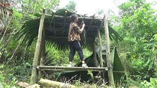 Solo Bushcraft & Camping   Make Shelter Tent , Living Off Grid   Survival Alone In The Forest #4 19