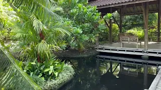The Asian Garden at Naples Botanical Gardens