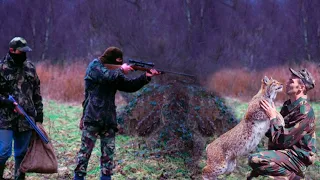 Раненая рысь прыгнула егерю прямо в руки, пытаясь спастись от браконьеров. Последняя надежда