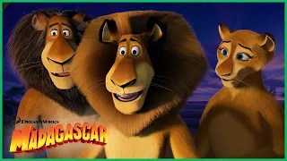 De Madagascar para as Profundezas da África | DreamWorks Madagascar em Português