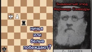 Знаменитейший этюд Фернандо Сааведры! ничья или выигрыш?