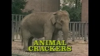 André van Duin - Animal Crackers