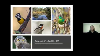 BirdLife Australia’s Woodland Birds Program Overview with  Candice Larkin