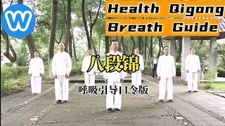 八段锦🔥呼吸引导(口令版)简单一学就会 强身健体 中老年健康长寿