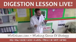 The Digestive System - A Live GCSE Lesson demonstration!