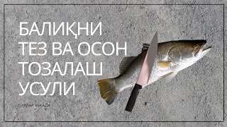 БАЛИҚНИ ТЕЗ ВА ОСОН ТОЗАЛАШ УСУЛИ 🐡💥 САЗАН ИКРАСИ ВА ЛАЙФХАК👍🏻КАК БЫСТРО И ЛЕГКО ПОЧИСТИТЬ РЫБУ