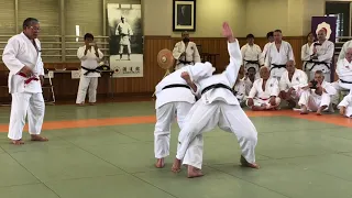 Kodokan Goshin-jutsu - Naname-uchi