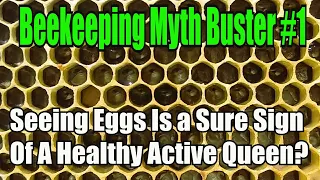 Beekeeping Myth Buster #1, Seeing Eggs Is A Sure Sign Of A Healthy Active Queen Bee