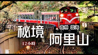 🌈離天空最近的秘境山城🌲阿里山四大奇景一次收集🍁復古小火車🚂高CP值鐵路便當⛅絕美森林雲海｜奮起湖❌阿里山｜TAIWAN｜【國旅玩什麼】