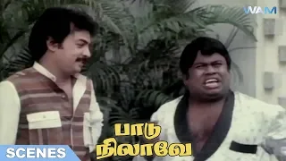 Paadu Nilave Tamil Movie Scene 14 | Mohan | Nadhiya | Ravichandran | K. Rangaraj | WAM India Tamil