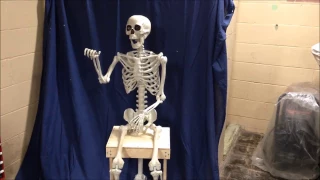 Animated Leering Skeleton Prop