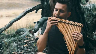 Флейта Пана Релакс музыка Живое исполнение в лесу на флейте Pan Flute Live performance in the forest