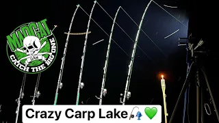 Spanolós harcsa horgászat a Crazy Carp Laken Derzsi Józsival
