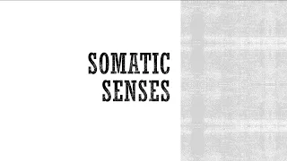Somatic Senses - Anatomy & Physiology