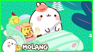 Molang - The Explorers | #cutecartoon #funnycartoon Cartoon for kids