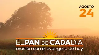 Evangelio de hoy lunes 24 de agosto de 2020, EL PAN DE CADA DÍA, padre Efraín Castaño Arboleda