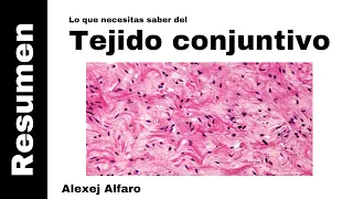 Tejido Conjuntivo (resumen) (Histología De Ross 7a Edición)