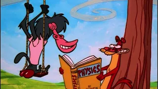 I Am Weasel - Physics Lesson