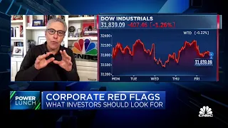 Empire Financial's Herb Greenberg warns investors to beware these corporate red flags