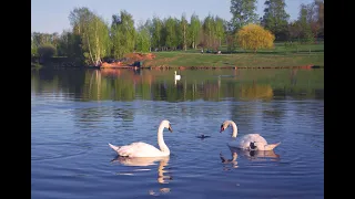 "В МЫСЛЯХ С ТОБОЙ"... (Фото Ольги ТОКАРЕВОЙ (Москва), музыка Томаса ЛЕММЕРА (Германия))