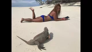 HMG Travel Group: Iguana Island Exuma Bahamas