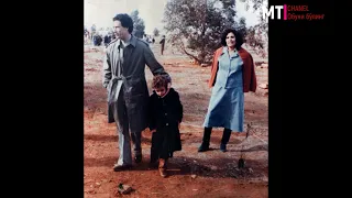 Завещание Муаммара Каддафи