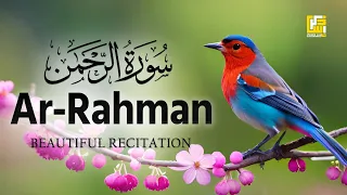 World's most Heart Touching Quran recitation of Surah Ar-Rahman (سورة الرحمن) | Zikrullah TV