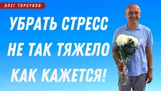 УБРАТЬ СТРЕСС, не так тяжело как кажется! О.Г.Торсунов Смотрите без рекламы!