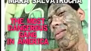 MS-13 Mara Salvatrucha Trece / 1 Hr Documentary Video / Gangs