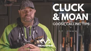 Goose Calling Tip: Perfecting The Goose Cluck and Moan