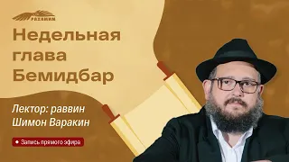 Недельная глава «Бемидбар». Раввин Шимон Варакин