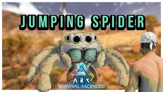 The CUTEST Spider in Ark | Introducing Thorax Spider MOD | ARK ASCENDED | Crossplay