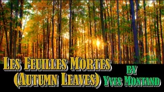 Les Feuilles Mortes (Autumn Leaves) - Yves Montand (Subtitles in French and English)