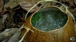 DIY Survival: Brewing Tea in the Jungle | Dual Survival