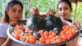 Yummy cooking turtle soup with egg recipe - Natural Life TV